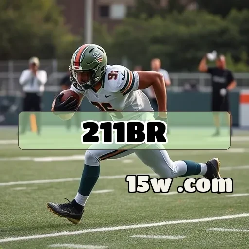 211br.com: A Comunidade que Réune Jogadores e Criadores de Conteúdo